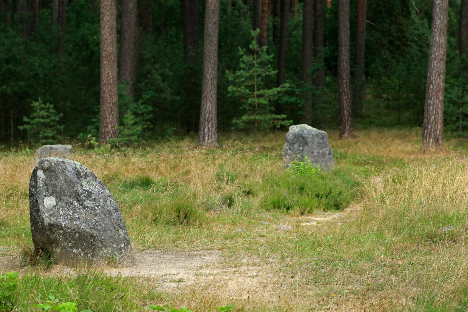 Bory Tucholskie atrakcje i miejsca które warto zobaczyć Blog