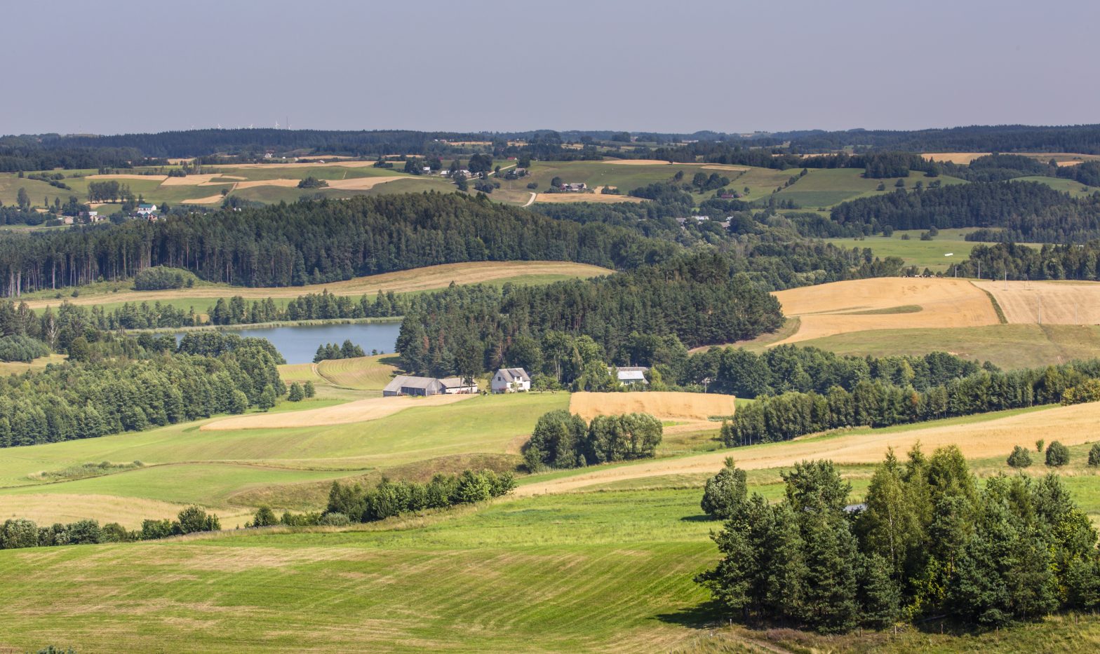 Aktywny wypoczynek na Podlasiu. Przewodnik po atrakcjach wodnych w Białymstoku i okolicach