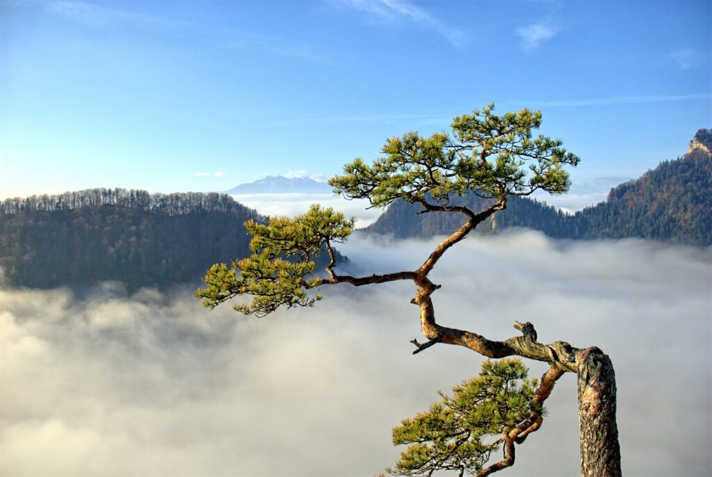 Góry pieniny