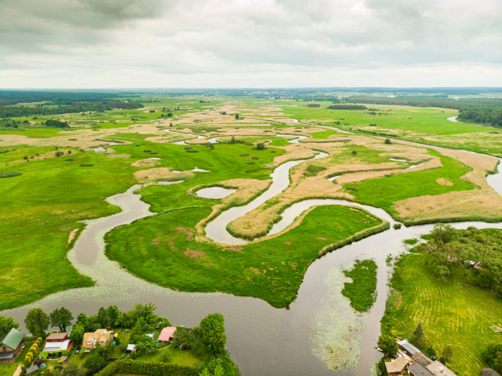 biebrza atrakcja podlasia